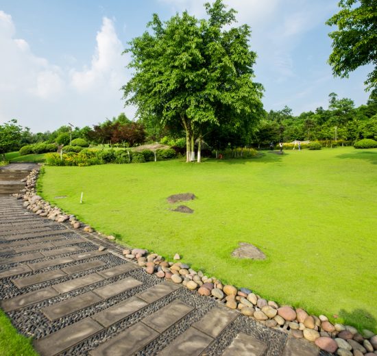 grassland-landscape-greening-environment-park-background